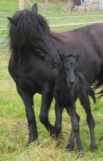 Bunny with Anne on her first day